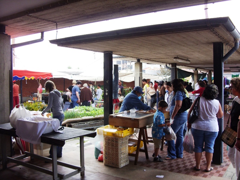 Mercado in Albergaria-A-Velha